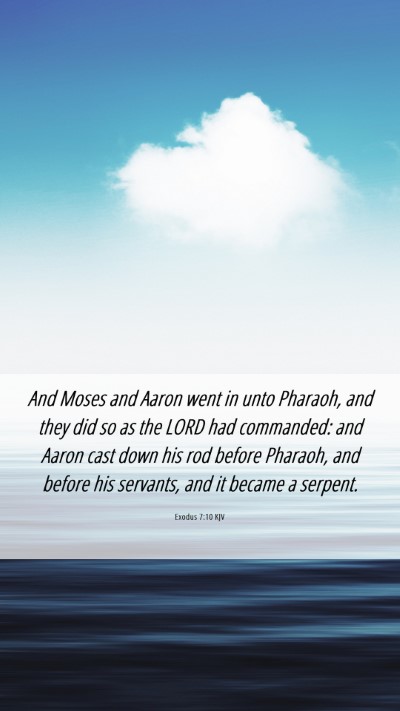 Picture 06 - Exodus 7:10 KJV Mobile Phone Wallpaper - And Moses and Aaron went in unto Pharaoh, and - Mobile Bible Verse Wallpaper