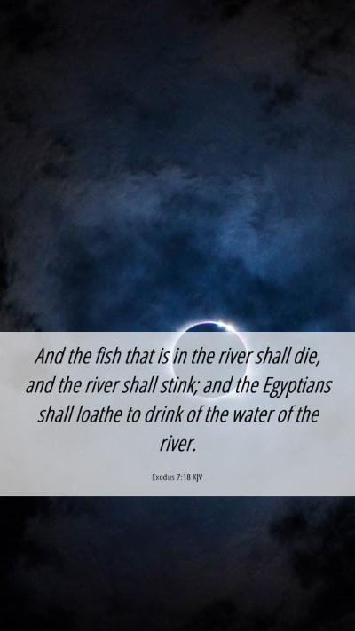 Picture 06 - Exodus 7:18 KJV Mobile Phone Wallpaper - And the fish that is in the river shall die, and - Mobile Bible Verse Wallpaper