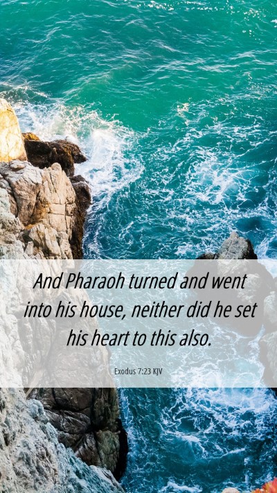 Picture 06 - Exodus 7:23 KJV Mobile Phone Wallpaper - And Pharaoh turned and went into his house, - Mobile Bible Verse Wallpaper