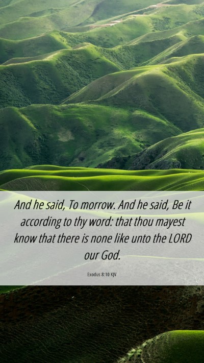 Picture 06 - Exodus 8:10 KJV Mobile Phone Wallpaper - And he said, To morrow. And he said, Be it - Mobile Bible Verse Wallpaper