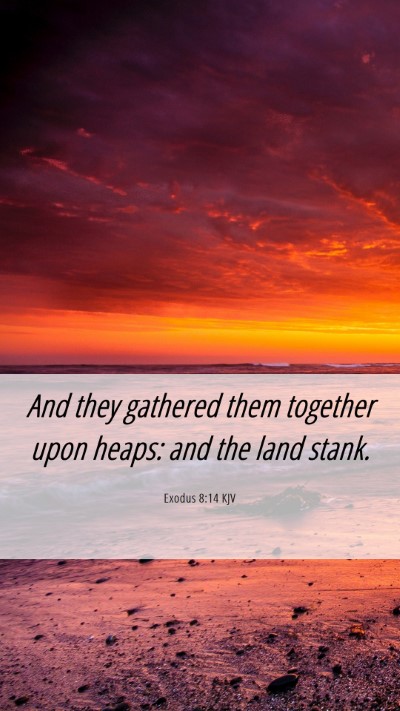 Picture 06 - Exodus 8:14 KJV Mobile Phone Wallpaper - And they gathered them together upon heaps: and - Mobile Bible Verse Wallpaper