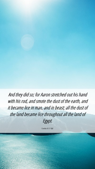 Picture 06 - Exodus 8:17 KJV Mobile Phone Wallpaper - And they did so; for Aaron stretched out his hand - Mobile Bible Verse Wallpaper