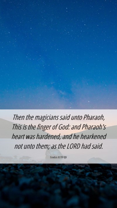 Picture 06 - Exodus 8:19 KJV Mobile Phone Wallpaper - Then the magicians said unto Pharaoh, This is the - Mobile Bible Verse Wallpaper
