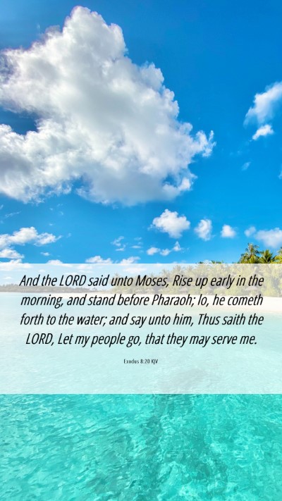 Picture 06 - Exodus 8:20 KJV Mobile Phone Wallpaper - And the LORD said unto Moses, Rise up early in - Mobile Bible Verse Wallpaper