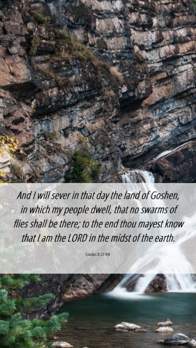 Picture 06 - Exodus 8:22 KJV Mobile Phone Wallpaper - And I will sever in that day the land of Goshen, - Mobile Bible Verse Wallpaper