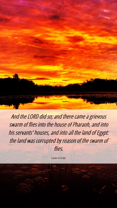 Picture 06 - Exodus 8:24 KJV Mobile Phone Wallpaper - And the LORD did so; and there came a grievous - Mobile Bible Verse Wallpaper