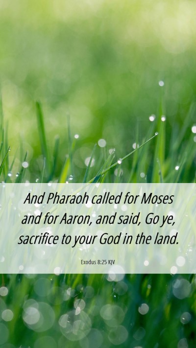 Picture 06 - Exodus 8:25 KJV Mobile Phone Wallpaper - And Pharaoh called for Moses and for Aaron, and - Mobile Bible Verse Wallpaper