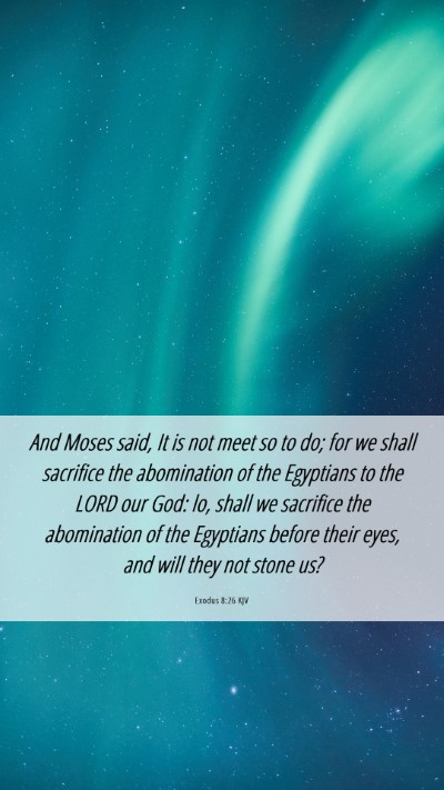 Picture 06 - Exodus 8:26 KJV Mobile Phone Wallpaper - And Moses said, It is not meet so to do; for we - Mobile Bible Verse Wallpaper