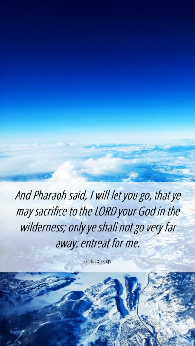 Picture 06 - Exodus 8:28 KJV Mobile Phone Wallpaper - And Pharaoh said, I will let you go, that ye may - Mobile Bible Verse Wallpaper