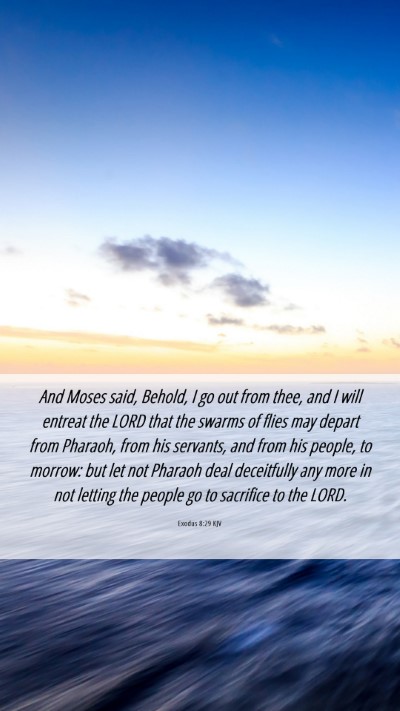 Picture 06 - Exodus 8:29 KJV Mobile Phone Wallpaper - And Moses said, Behold, I go out from thee, and I - Mobile Bible Verse Wallpaper