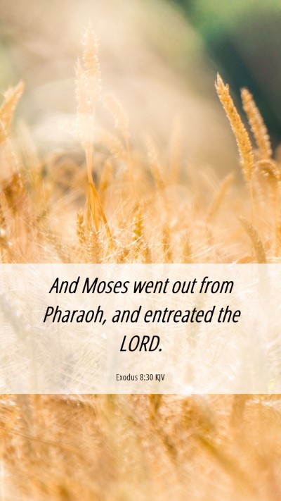 Picture 06 - Exodus 8:30 KJV Mobile Phone Wallpaper - And Moses went out from Pharaoh, and entreated - Mobile Bible Verse Wallpaper