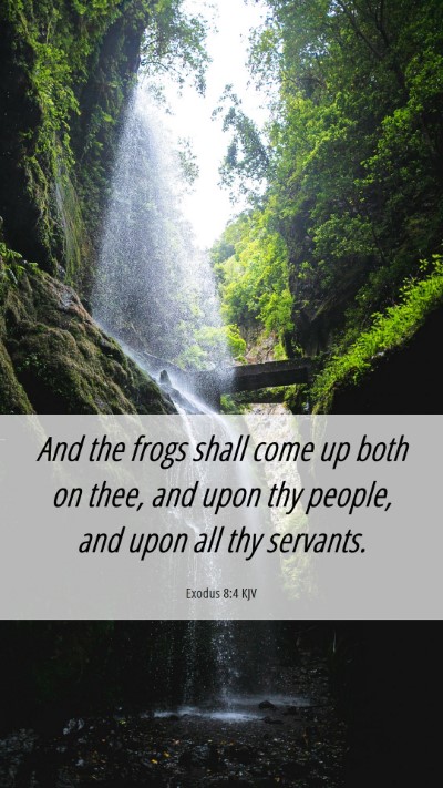 Picture 06 - Exodus 8:4 KJV Mobile Phone Wallpaper - And the frogs shall come up both on thee, and - Mobile Bible Verse Wallpaper
