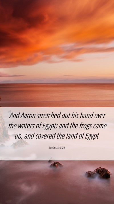 Picture 06 - Exodus 8:6 KJV Mobile Phone Wallpaper - And Aaron stretched out his hand over the waters - Mobile Bible Verse Wallpaper