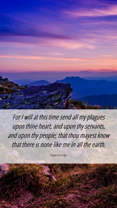 Picture 06 - Exodus 9:14 KJV Mobile Phone Wallpaper - For I will at this time send all my plagues upon - Mobile Bible Verse Wallpaper