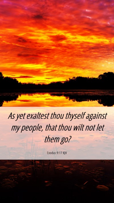 Picture 06 - Exodus 9:17 KJV Mobile Phone Wallpaper - As yet exaltest thou thyself against my people, - Mobile Bible Verse Wallpaper