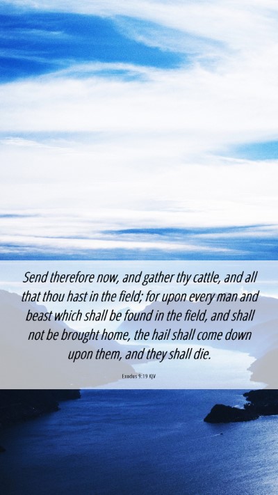 Picture 06 - Exodus 9:19 KJV Mobile Phone Wallpaper - Send therefore now, and gather thy cattle, and - Mobile Bible Verse Wallpaper