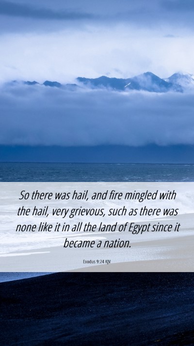 Picture 06 - Exodus 9:24 KJV Mobile Phone Wallpaper - So there was hail, and fire mingled with the - Mobile Bible Verse Wallpaper