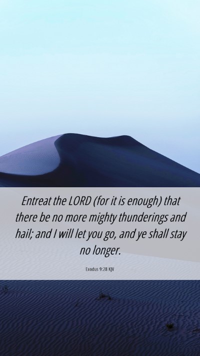 Picture 06 - Exodus 9:28 KJV Mobile Phone Wallpaper - Entreat the LORD (for it is enough) that there be - Mobile Bible Verse Wallpaper