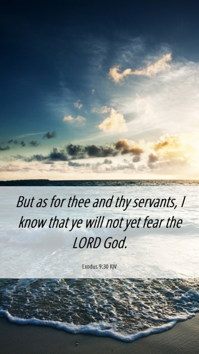 Picture 06 - Exodus 9:30 KJV Mobile Phone Wallpaper - But as for thee and thy servants, I know that ye - Mobile Bible Verse Wallpaper