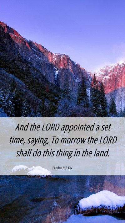 Picture 06 - Exodus 9:5 KJV Mobile Phone Wallpaper - And the LORD appointed a set time, saying, To - Mobile Bible Verse Wallpaper