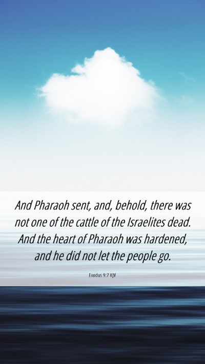 Picture 06 - Exodus 9:7 KJV Mobile Phone Wallpaper - And Pharaoh sent, and, behold, there was not one - Mobile Bible Verse Wallpaper