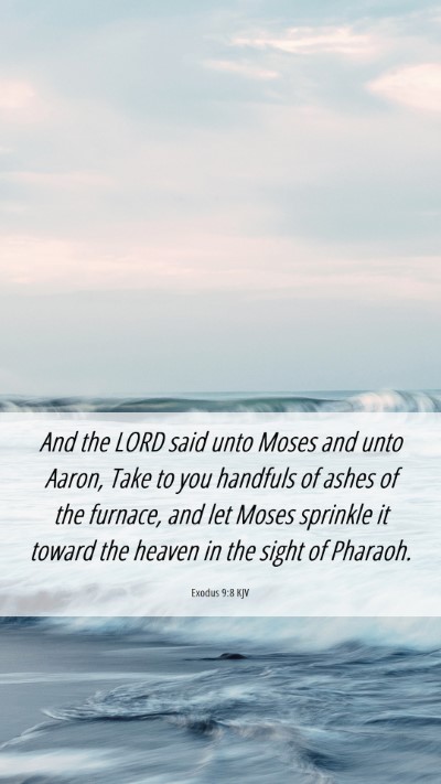 Picture 06 - Exodus 9:8 KJV Mobile Phone Wallpaper - And the LORD said unto Moses and unto Aaron, Take - Mobile Bible Verse Wallpaper