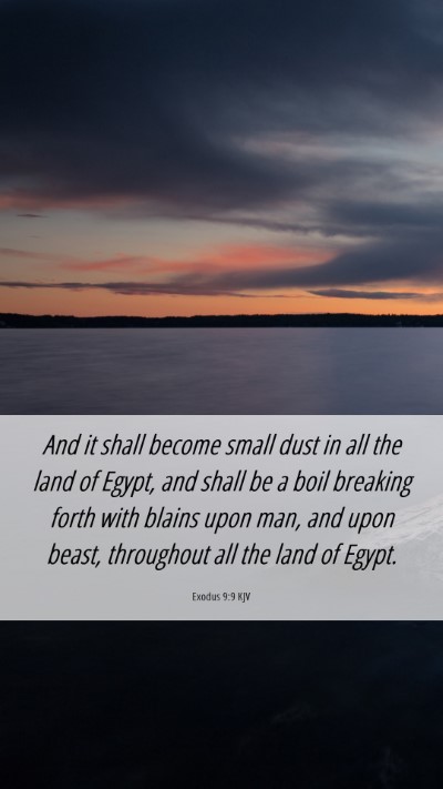 Picture 06 - Exodus 9:9 KJV Mobile Phone Wallpaper - And it shall become small dust in all the land of - Mobile Bible Verse Wallpaper
