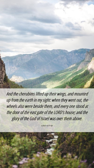 Picture 06 - Ezekiel 10:19 KJV Mobile Phone Wallpaper - And the cherubims lifted up their wings, and - Mobile Bible Verse Wallpaper