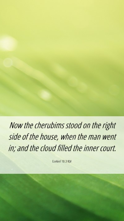 Picture 06 - Ezekiel 10:3 KJV Mobile Phone Wallpaper - Now the cherubims stood on the right side of the - Mobile Bible Verse Wallpaper