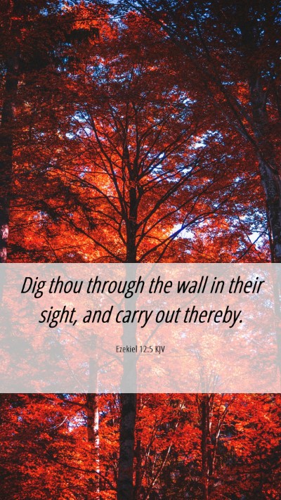 Picture 06 - Ezekiel 12:5 KJV Mobile Phone Wallpaper - Dig thou through the wall in their sight, and - Mobile Bible Verse Wallpaper