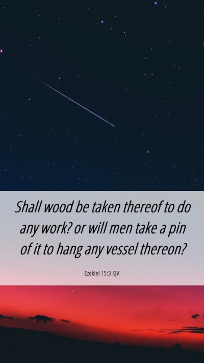 Picture 06 - Ezekiel 15:3 KJV Mobile Phone Wallpaper - Shall wood be taken thereof to do any work? or - Mobile Bible Verse Wallpaper