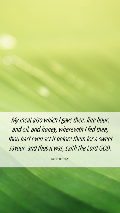 Picture 06 - Ezekiel 16:19 KJV Mobile Phone Wallpaper - My meat also which I gave thee, fine flour, and - Mobile Bible Verse Wallpaper