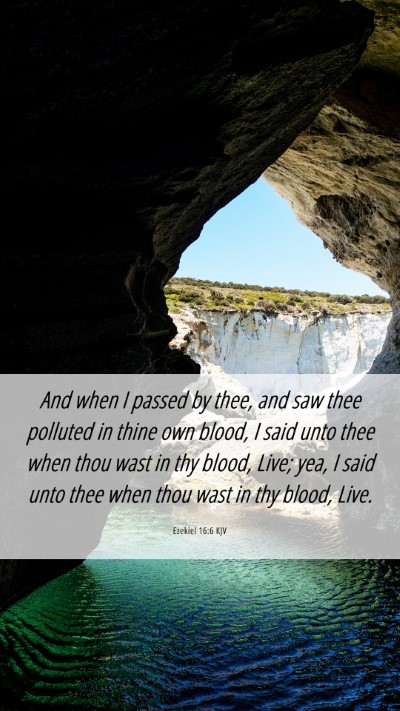 Picture 06 - Ezekiel 16:6 KJV Mobile Phone Wallpaper - And when I passed by thee, and saw thee polluted - Mobile Bible Verse Wallpaper