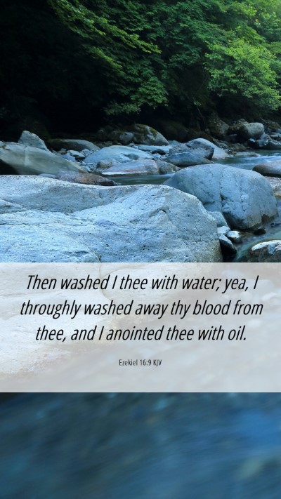 Picture 06 - Ezekiel 16:9 KJV Mobile Phone Wallpaper - Then washed I thee with water; yea, I throughly - Mobile Bible Verse Wallpaper