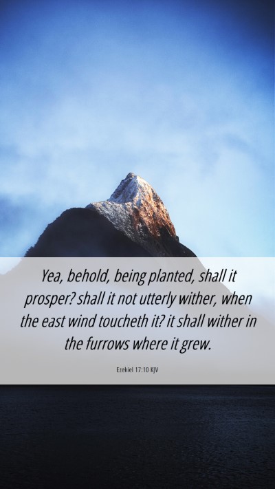 Picture 06 - Ezekiel 17:10 KJV Mobile Phone Wallpaper - Yea, behold, being planted, shall it prosper? - Mobile Bible Verse Wallpaper