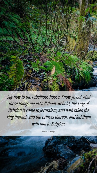 Picture 06 - Ezekiel 17:12 KJV Mobile Phone Wallpaper - Say now to the rebellious house, Know ye not what - Mobile Bible Verse Wallpaper
