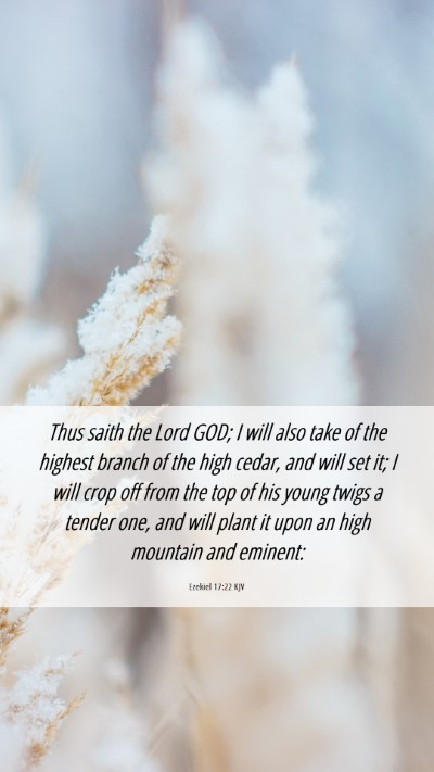 Picture 06 - Ezekiel 17:22 KJV Mobile Phone Wallpaper - Thus saith the Lord GOD; I will also take of the - Mobile Bible Verse Wallpaper