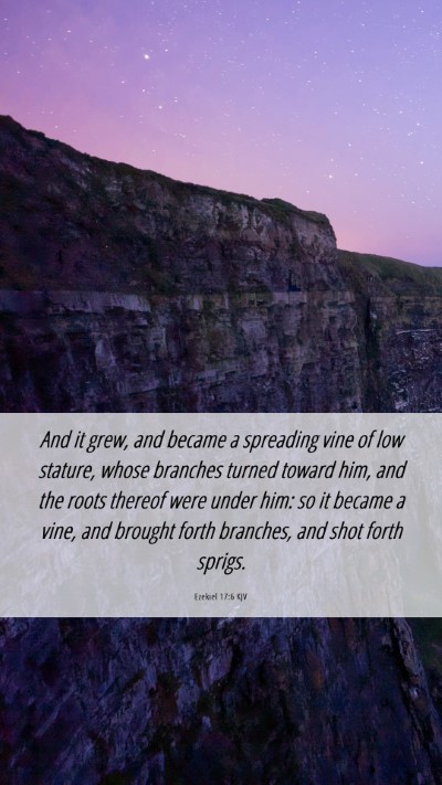 Picture 06 - Ezekiel 17:6 KJV Mobile Phone Wallpaper - And it grew, and became a spreading vine of low - Mobile Bible Verse Wallpaper