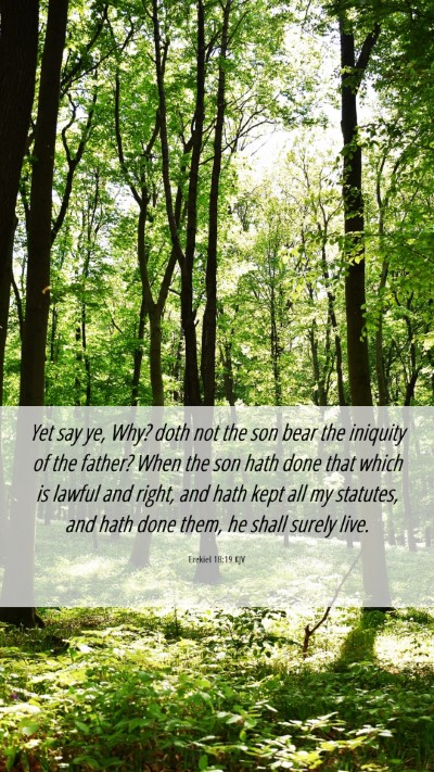 Picture 06 - Ezekiel 18:19 KJV Mobile Phone Wallpaper - Yet say ye, Why? doth not the son bear the - Mobile Bible Verse Wallpaper