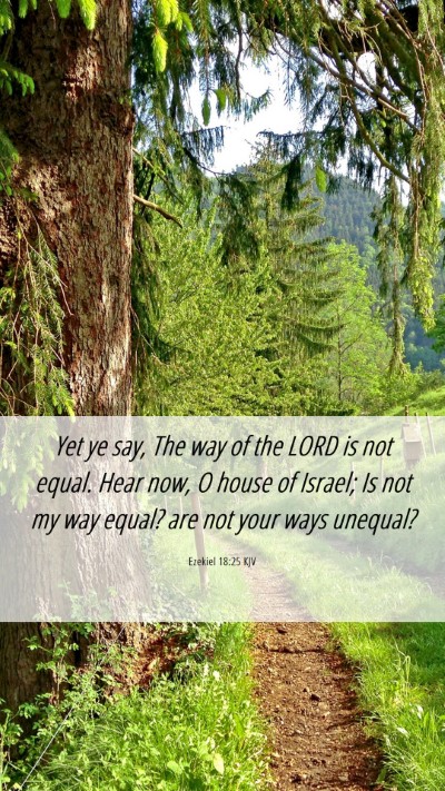 Picture 06 - Ezekiel 18:25 KJV Mobile Phone Wallpaper - Yet ye say, The way of the LORD is not equal. - Mobile Bible Verse Wallpaper