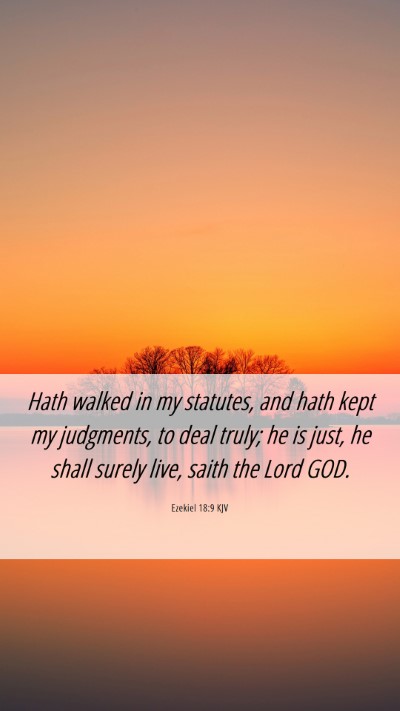 Picture 06 - Ezekiel 18:9 KJV Mobile Phone Wallpaper - Hath walked in my statutes, and hath kept my - Mobile Bible Verse Wallpaper