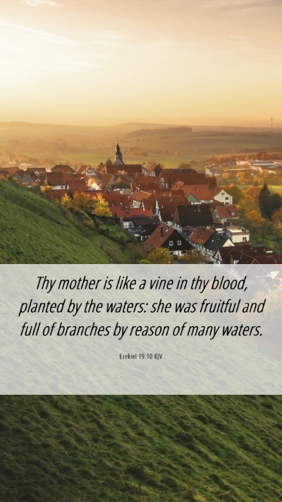 Picture 06 - Ezekiel 19:10 KJV Mobile Phone Wallpaper - Thy mother is like a vine in thy blood, planted - Mobile Bible Verse Wallpaper