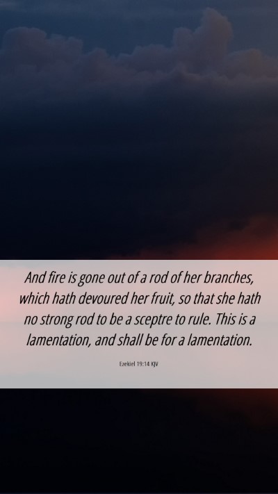 Picture 06 - Ezekiel 19:14 KJV Mobile Phone Wallpaper - And fire is gone out of a rod of her branches, - Mobile Bible Verse Wallpaper