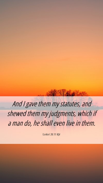 Picture 06 - Ezekiel 20:11 KJV Mobile Phone Wallpaper - And I gave them my statutes, and shewed them my - Mobile Bible Verse Wallpaper