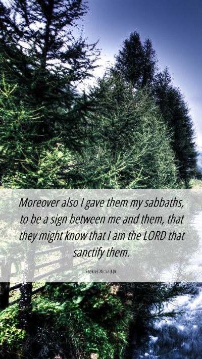 Picture 06 - Ezekiel 20:12 KJV Mobile Phone Wallpaper - Moreover also I gave them my sabbaths, to be a - Mobile Bible Verse Wallpaper
