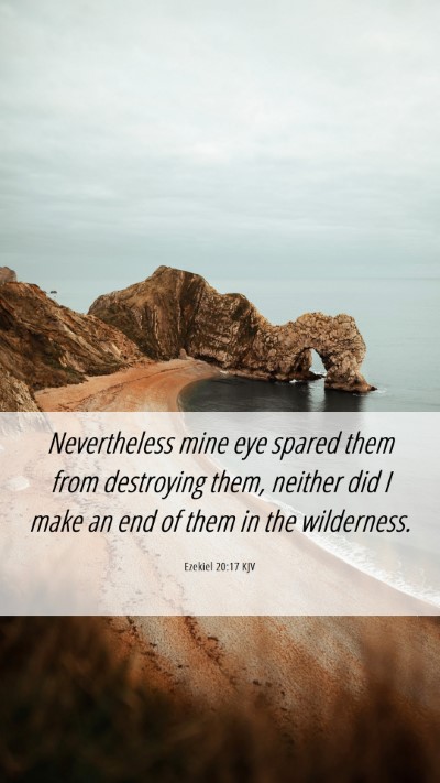 Picture 06 - Ezekiel 20:17 KJV Mobile Phone Wallpaper - Nevertheless mine eye spared them from destroying - Mobile Bible Verse Wallpaper