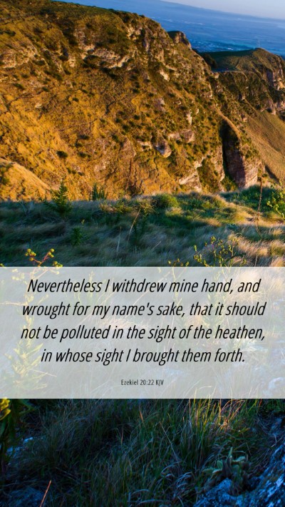 Picture 06 - Ezekiel 20:22 KJV Mobile Phone Wallpaper - Nevertheless I withdrew mine hand, and wrought - Mobile Bible Verse Wallpaper