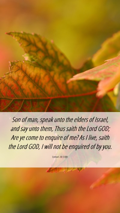 Picture 06 - Ezekiel 20:3 KJV Mobile Phone Wallpaper - Son of man, speak unto the elders of Israel, and - Mobile Bible Verse Wallpaper