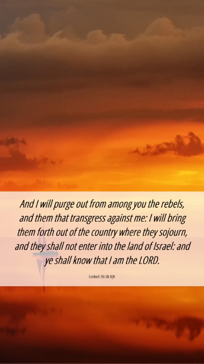 Picture 06 - Ezekiel 20:38 KJV Mobile Phone Wallpaper - And I will purge out from among you the rebels, - Mobile Bible Verse Wallpaper