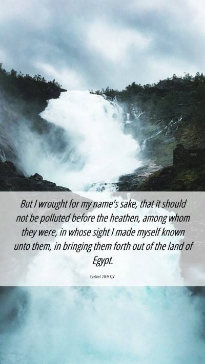 Picture 06 - Ezekiel 20:9 KJV Mobile Phone Wallpaper - But I wrought for my name's sake, that it should - Mobile Bible Verse Wallpaper